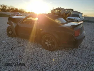 2006 Ford Mustang GT Deluxe with VIN 1ZVHT85HX65145658, listed as a Copart auction lot 84505894 with Not Provided miles and Salvage Title. Bid and sale history available at carsss.com. Image 2.