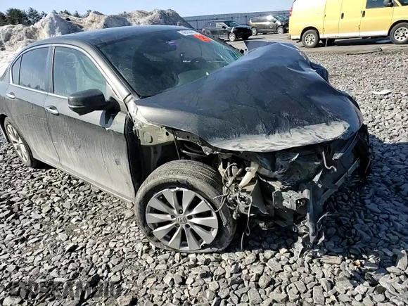 2014 Honda Accord Sedan EX-L with VIN 1HGCR2F85EA092155, listed as a Copart auction lot 49164215 with 0 mi miles and Salvage Title. Bid and sale history available at carsss.com. Image 10.