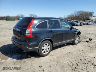 2009 Honda CR-V EX-L with VIN 5J6RE38759L011075, listed as a Copart auction lot 49556205 with 183,305 mi miles and Salvage Title. Bid and sale history available at carsss.com. Image 3.