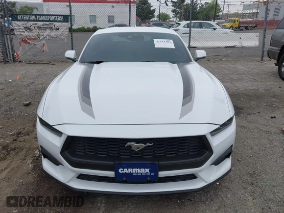 2024 Ford Mustang EcoBoost z VIN 1FA6P8TH3R5109662, wystawiony jako IAAI lot #42164383 z przebiegiem 3 336 mil mil oraz . Historia ofert i sprzedaży dostępna na DreamBid. Obrazek 12.
