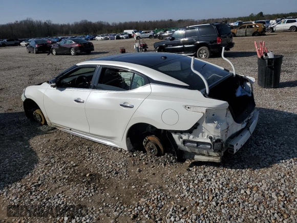 2020 Nissan Maxima Platinum with VIN 1N4AA6FVXLC366547, listed as a Copart auction lot 45569995 with 23,124 mi miles and Salvage Title. Bid and sale history available at DreamBid. Image 2.