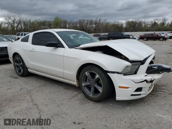 2013 Ford Mustang V6 with VIN 1ZVBP8AM4D5262212, listed as a Copart auction lot 51121685 with Not Provided miles and Salvage Title. Bid and sale history available at carsss.com. Image 4.