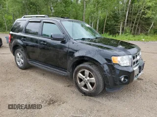 2010 Ford Escape Limited with VIN 1FMCU9EG8AKD13892, listed as a Copart auction lot 62476525 with 274,338 mi miles and Clean title. Bid and sale history available at DreamBid. Image 4.