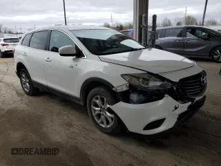 2014 Mazda CX-9 Sport with VIN JM3TB3BV5E0427867, listed as a Copart auction lot 51091995 with 122,008 mi miles and Salvage title. Bid and sale history available at DreamBid. Image 4.