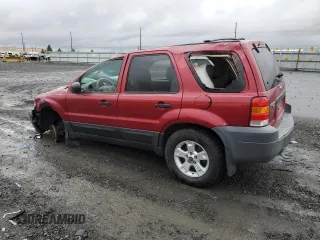 2005 Ford Escape XLT with VIN 1FMYU93195KA41167, listed as a Copart auction lot 77366534 with 196,139 mi miles and Non Repairable. Bid and sale history available at carsss.com. Image 2.
