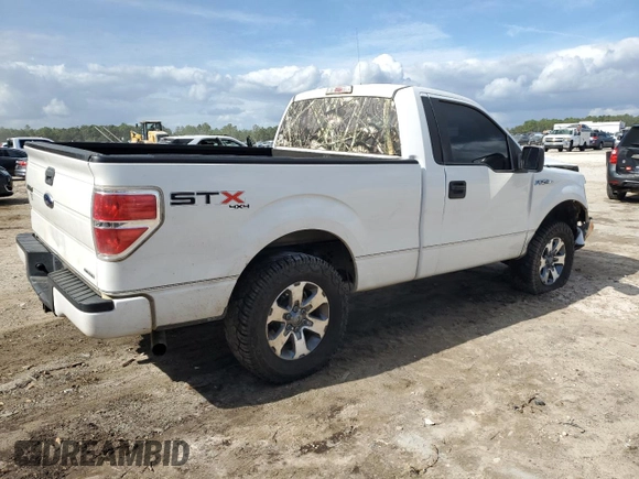 2013 Ford F-150 XL with VIN 1FTMF1EF1DFA51044, listed as a Copart auction lot 79561474 with 191,122 mi miles and Salvage Title. Bid and sale history available at DreamBid. Image 3.