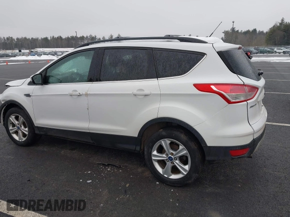 2013 Ford Escape SE with VIN 1FMCU9GX6DUB10148, listed as a IAAI auction lot 41460203 with 229,378 mi miles. Bid and sale history available at carsss.com. Image 3.