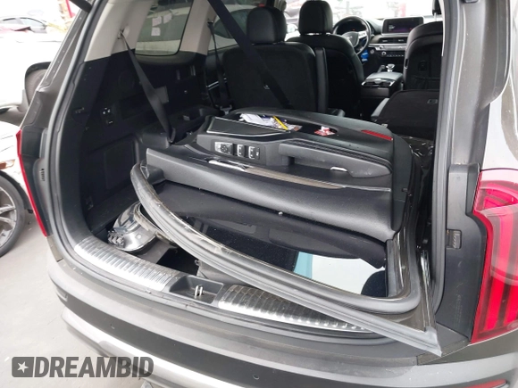 2022 Kia Telluride SX with VIN 5XYP54HC0NG211061, listed as a IAAI auction lot 42337734 with 95,554 mi miles and . Bid and sale history available at DreamBid. Image 18.