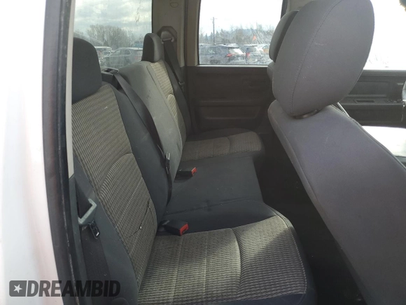 2010 Dodge 1500 ST with VIN 1D7RB1GK4AS126579, listed as a Copart auction lot 44359815 with Not Provided miles and Salvage Title. Bid and sale history available at DreamBid. Image 10.