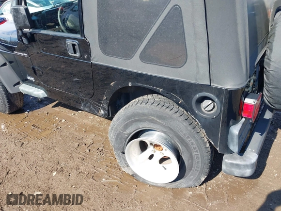 2002 Jeep Wrangler X with VIN 1J4FA39S52P770664, listed as a IAAI auction lot 41661580 with 122,445 mi miles. Bid and sale history available at carsss.com. Image 6.
