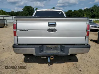 2009 Ford F-150 XLT with VIN 1FTRX12V89FA40192, listed as a Copart auction lot 62384525 with 276,253 mi miles and Clean title. Bid and sale history available at DreamBid. Image 6.