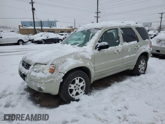 2004 Ford Escape Limited with VIN 1FMCU94134KA51331, listed as a Copart auction lot 80602203 with 126,663 mi miles and Salvage Title. Bid and sale history available at carsss.com. Image 1.