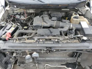 2009 Ford F-150 XLT with VIN 1FTRX12V99KB23041, listed as a Copart auction lot 44536575 with Not provided miles and Salvage title. Bid and sale history available at DreamBid. Image 11.