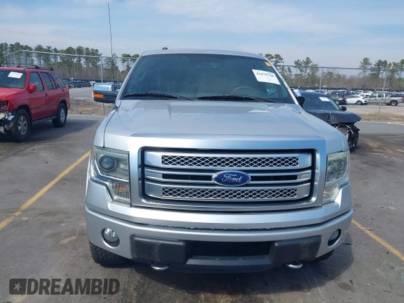 2013 Ford F-150 XL with VIN 1FTFW1ET3DFB15163, listed as a IAAI auction lot 41678768 with 171,149 mi miles. Bid and sale history available at carsss.com. Image 6.