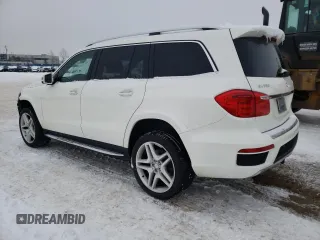 2015 Mercedes-Benz GL-Class GL 350 BlueTEC with VIN 4JGDF2EE3FA507649, listed as a Copart auction lot 42015574 with 183,967 mi miles. Bid and sale history available at carsss.com. Image 2.