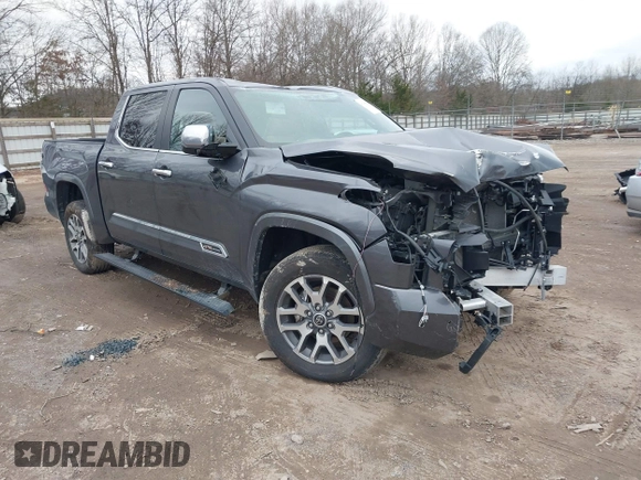 2024 Toyota Tundra 1794 Edition with VIN 5TFMA5DBXRX142402, listed as a IAAI auction lot 41253806 with 17,523 mi miles and . Bid and sale history available at DreamBid. Image 1.