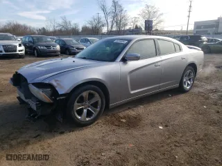 2013 Dodge Charger SE with VIN 2C3CDXBGXDH678412, listed as a Copart auction lot 80254094 with 159,194 mi miles and Salvage Title. Bid and sale history available at carsss.com. Image 1.