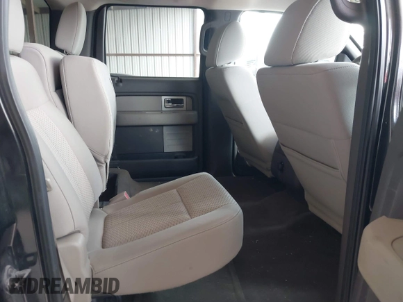 2010 Ford F-150 XL with VIN 1FTEW1E82AFD87433, listed as a IAAI auction lot 42595343 with 159,229 mi miles and . Bid and sale history available at DreamBid. Image 8.