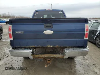 2011 Ford F-150 XL with VIN 1FTFX1ET8BFC87344, listed as a Copart auction lot 46576495 with 126,027 mi miles and Salvage Title. Bid and sale history available at carsss.com. Image 6.