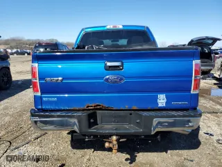 2013 Ford F-150 XL with VIN 1FTEW1CM4DFC15215, listed as a Copart auction lot 48983375 with 205,081 mi miles and Salvage Title. Bid and sale history available at carsss.com. Image 6.