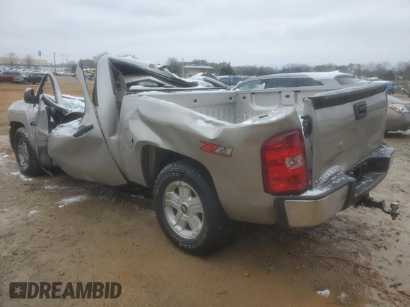 2009 Chevrolet Silverado 1500 with VIN 2GCEC23J191140301, listed as a Copart auction lot 45950505 with Not Provided miles and Non Repairable. Bid and sale history available at DreamBid. Image 2.