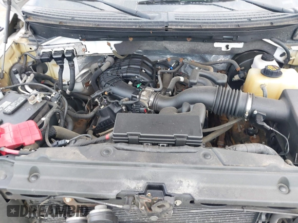 2011 Ford F-150 XL with VIN 1FTMF1CM7BFD05791, listed as a IAAI auction lot 42768916 with 59,539 mi miles and . Bid and sale history available at DreamBid. Image 10.