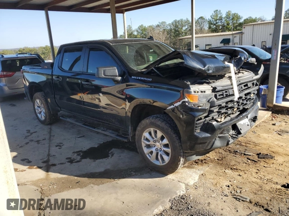 2023 Chevrolet Silverado 1500 Custom with VIN 3GCPDBEK0PG168722, listed as a Copart auction lot 48899655 with 80,007 mi miles and Salvage Title. Bid and sale history available at DreamBid. Image 4.