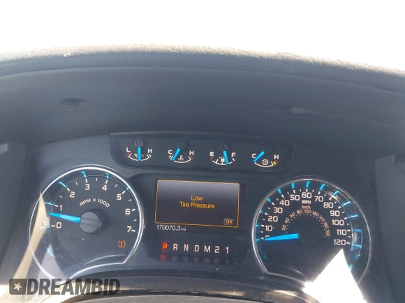 2013 Ford F-150 XL z VIN 1FTFX1EF0DFD47419, wystawiony jako IAAI lot #42065174 z przebiegiem 170 070 mil mil oraz . Historia ofert i sprzedaży dostępna na DreamBid. Obrazek 7.