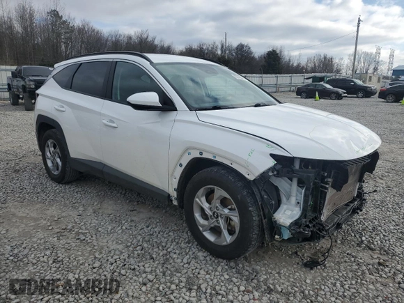 2024 Hyundai Tucson SEL with VIN 5NMJB3DE2RH301307, listed as a Copart auction lot 85516654 with 30,333 mi miles and Salvage Title. Bid and sale history available at DreamBid. Image 4.