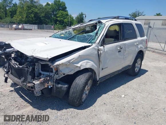 2010 Ford Escape Hybrid with VIN 1FMCU4K35AKB02976, listed as a IAAI auction lot 42691500 with Not provided miles and . Bid and sale history available at DreamBid. Image 2.