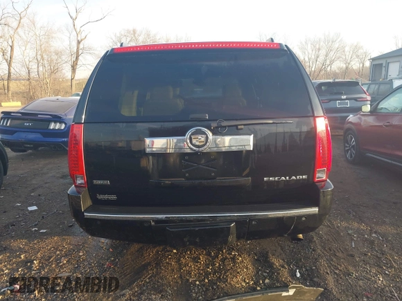 2011 Cadillac Escalade ESV Premium with VIN 1GYS4JEFXBR329720, listed as a IAAI auction lot 41797908 with 142,899 mi miles and . Bid and sale history available at DreamBid. Image 17.