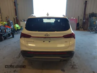 2023 Hyundai Santa Fe SE с VIN 5NMS1DAJ1PH617129, выставлен на аукционе IAAI как лот 41847525 с пробегом 40 036 миль миль и . История ставок и продаж доступна на DreamBid. Изображение 16.