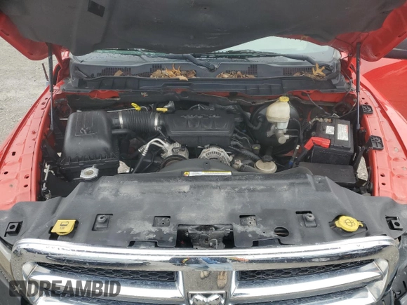 2010 Dodge 1500 SLT with VIN 1D7RV1CP3AS256734, listed as a Copart auction lot 42459025 with 209,487 mi miles and Salvage Title. Bid and sale history available at carsss.com. Image 13.