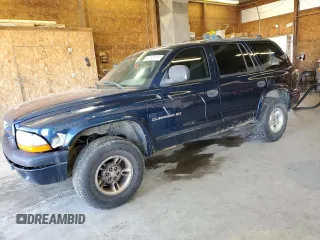 1999 Dodge Durango with VIN 1B4HS28Y0XF579739, listed as a Copart auction lot 54993215 with 124,984 mi miles and Clean title. Bid and sale history available at DreamBid. Image 1.
