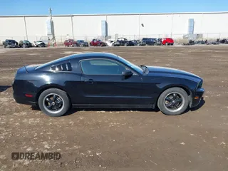 2013 Ford Mustang V6 with VIN 1ZVBP8AM3D5235860, listed as a IAAI auction lot 41778077 with 163,671 mi miles and . Bid and sale history available at DreamBid. Image 13.