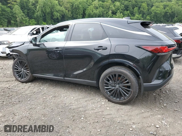 2025 Lexus RX 350 with VIN 2T2BAMCA9SC089458, listed as a Copart auction lot 58992545 with 487 mi miles and Salvage title. Bid and sale history available at DreamBid. Image 2.