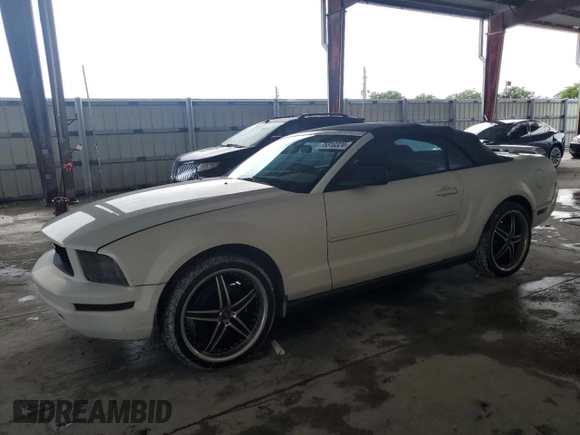 2006 Ford Mustang Standard with VIN 1ZVFT84N565202458, listed as a Copart auction lot 75310324 with 123,833 mi miles and Clean Title. Bid and sale history available at carsss.com. Image 1.
