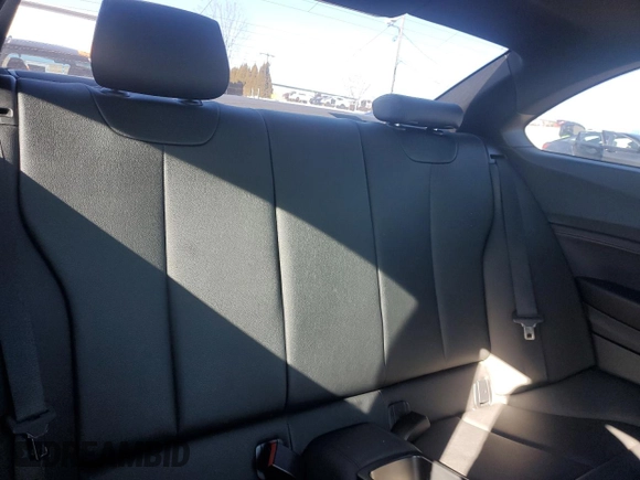 2016 BMW 2 Series 228i xDrive with VIN WBA1G9C53GV599689, listed as a Copart auction lot 46358445 with 104,429 mi miles and Salvage title. Bid and sale history available at DreamBid. Image 10.