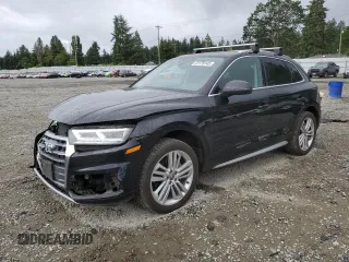 2019 Audi Q5 Premium Plus with VIN WA1BNAFY5K2093273, listed as a Copart auction lot 61178145 with 172,708 mi miles and Salvage title. Bid and sale history available at DreamBid. Image 1.