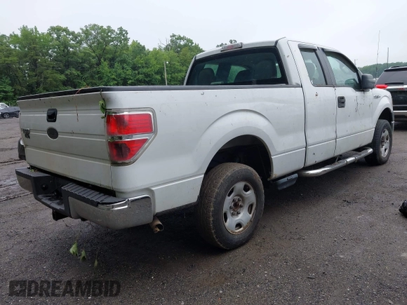 2010 Ford F-150 XL with VIN 1FTEX1E80AFA49736, listed as a IAAI auction lot 42514315 with 153,567 mi miles and . Bid and sale history available at DreamBid. Image 4.