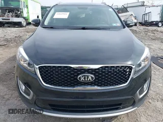 2017 Kia Sorento EX with VIN 5XYPHDA53HG304583, listed as a IAAI auction lot 41845911 with 109,169 mi miles and . Bid and sale history available at DreamBid. Image 12.