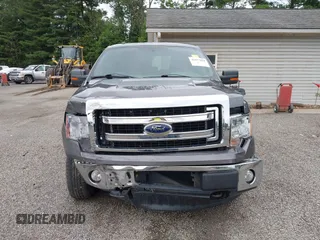 2013 Ford F-150 XL with VIN 1FTFX1EF3DFA21422, listed as a IAAI auction lot 42577828 with 185,203 mi miles and . Bid and sale history available at DreamBid. Image 12.