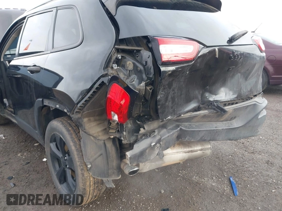 2016 Jeep Cherokee Sport with VIN 1C4PJLAB3GW315508, listed as a IAAI auction lot 41209472 with 100,806 mi miles and . Bid and sale history available at DreamBid. Image 6.