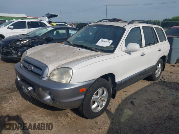 2005 Hyundai Santa Fe GLS with VIN KM8SC73E15U956552, listed as a IAAI auction lot 42003035 with 143,268 mi miles. Bid and sale history available at carsss.com. Image 2.