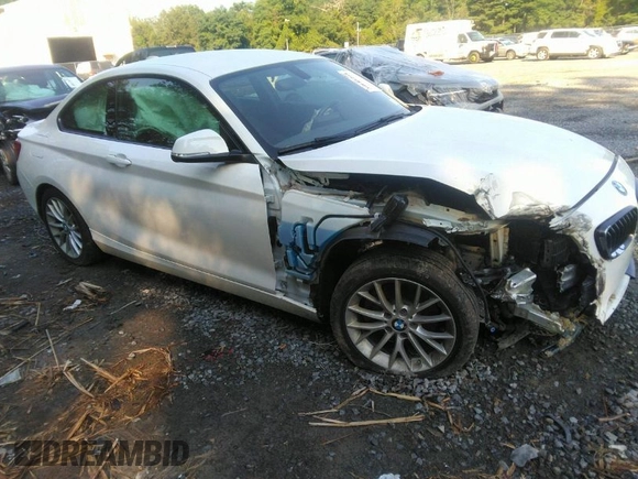 2016 BMW 2 Series 228i xDrive with VIN WBA1G9C55GV726460, listed as a IAAI auction lot 39985264 with 48,379 mi miles. Bid and sale history available at carsss.com. Image 1.
