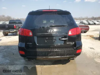 2008 Hyundai Santa Fe SE with VIN 5NMSH13E58H221121, listed as a Copart auction lot 49084395 with 193,910 mi miles and Salvage Title. Bid and sale history available at carsss.com. Image 6.