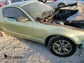 2005 Ford Mustang Deluxe with VIN 1ZVFT80N055136244, listed as a Copart auction lot 74286744 with 0 mi miles and Salvage Title. Bid and sale history available at carsss.com. Image 10.