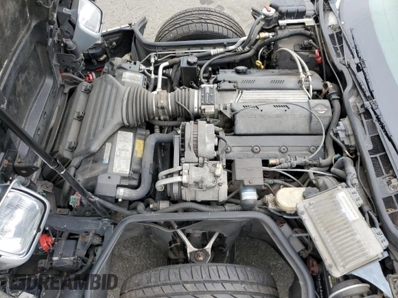 1996 Chevrolet Corvette with VIN 1G1YY32P2T5118770, listed as a Copart auction lot 73566454 with 145,893 mi miles and Salvage Title. Bid and sale history available at carsss.com. Image 11.