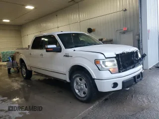 2013 Ford F-150 XL with VIN 1FTFW1EF0DFC12301, listed as a Copart auction lot 61483485 with 297,038 mi miles and Clean title. Bid and sale history available at DreamBid. Image 4.