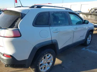 2019 Jeep Cherokee Trailhawk with VIN 1C4PJMBX8KD313712, listed as a IAAI auction lot 41448146 with 96,293 mi miles and . Bid and sale history available at DreamBid. Image 17.